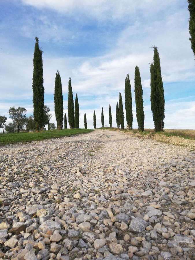 Villa Podere Sant'Antonio Buonconvento Exterior foto