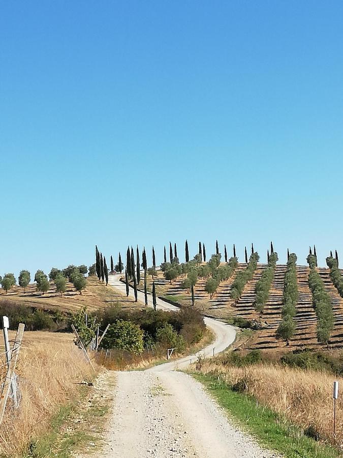 Villa Podere Sant'Antonio Buonconvento Exterior foto