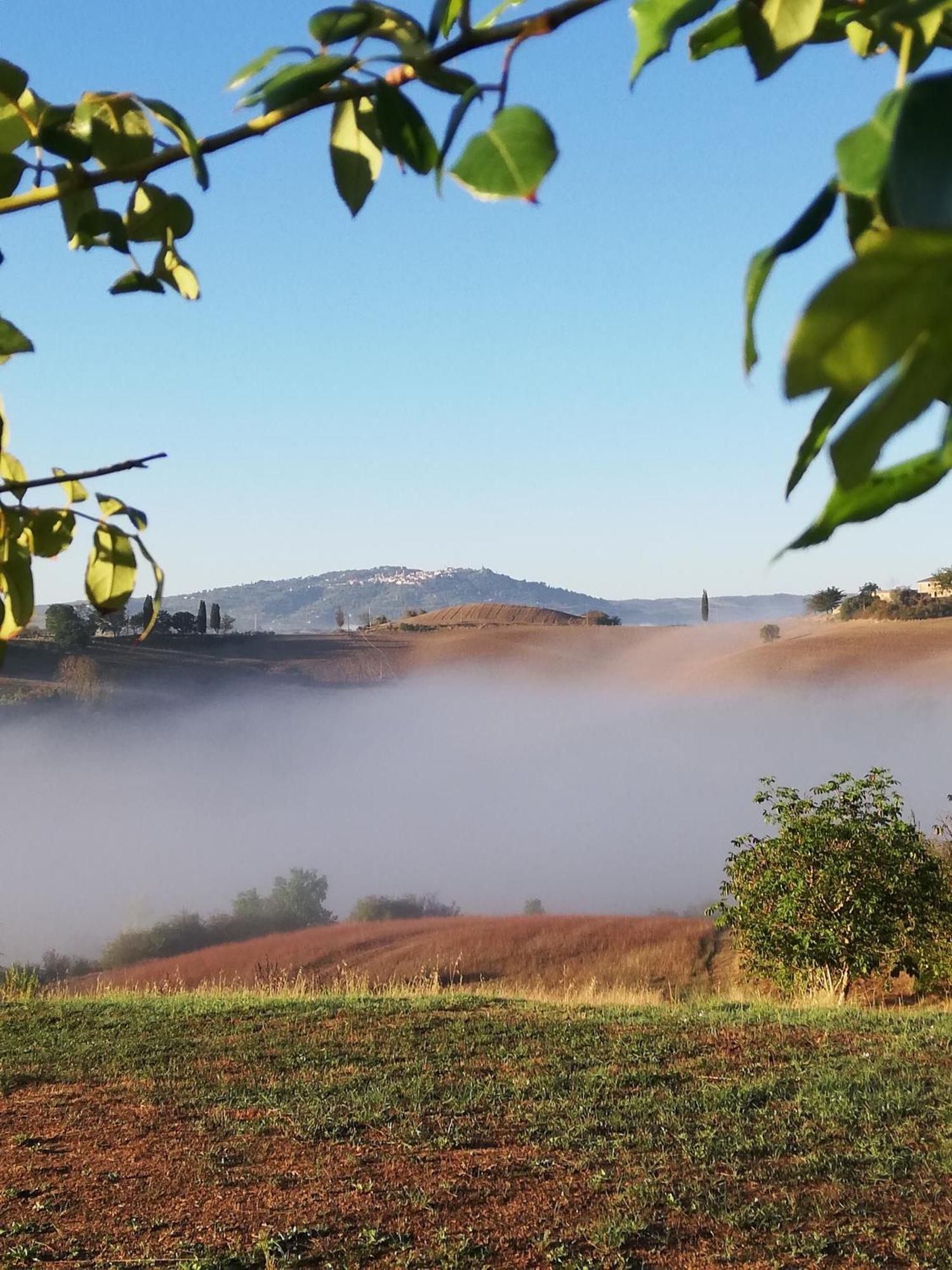 Villa Podere Sant'Antonio Buonconvento Exterior foto